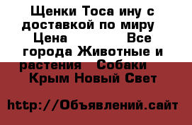 Щенки Тоса-ину с доставкой по миру › Цена ­ 68 000 - Все города Животные и растения » Собаки   . Крым,Новый Свет